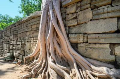 Illustration built-in - Image 1