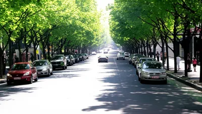 Illustration avenues - Image 1