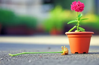 Illustration rejected - Image 1