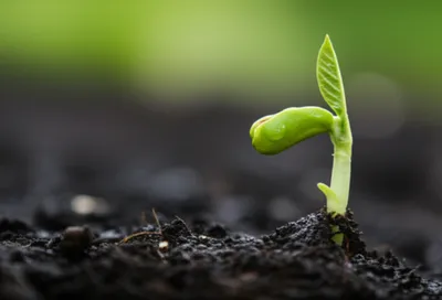 Illustration young - Image 1