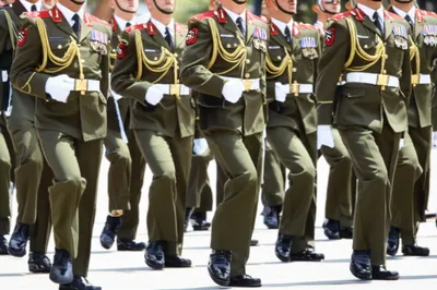 Illustration drill - Image 1