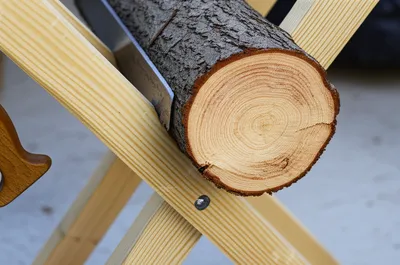 Illustration sawbuck - Image 1