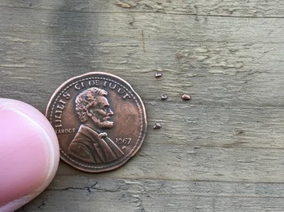 Illustration doubles - Image 1