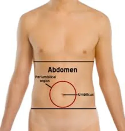 Illustration abdominal - Image 2