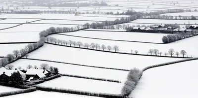 Illustration blanketed - Image 1