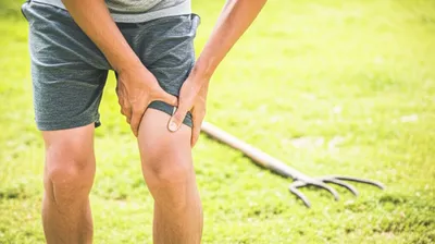 Illustration forks - Image 1