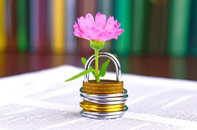 Illustration securities - Image 1