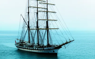 Illustration shrouds - Image 1