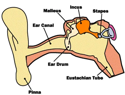 Illustration hammer - Image 2