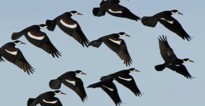 Illustration angles - Image 1