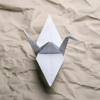 Illustration collapsed - Image 1