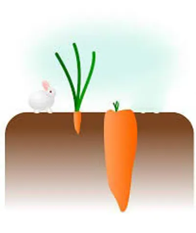 Illustration underestimate - Image 2