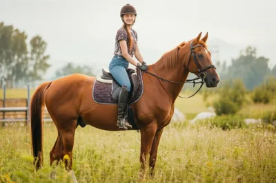 Illustration horsing - Image 1