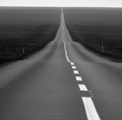 Illustration shortened - Image 1