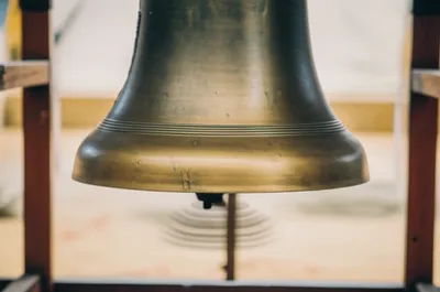 Illustration paunch - Image 1