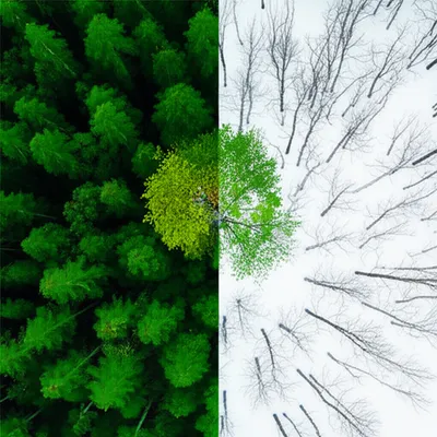 Illustration dissent - Image 1