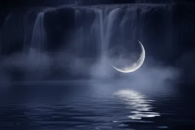 Illustration yin - Image 1