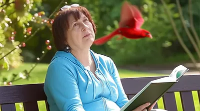 Illustration glance - Image 1