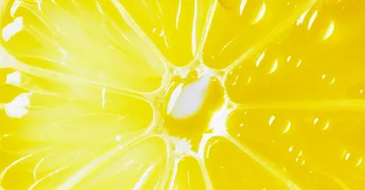 Illustration lemon - Image 1