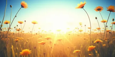 Illustration paradise - Image 1