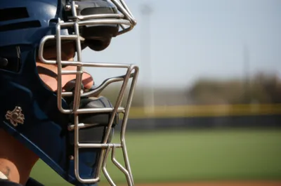 Illustration cages - Image 1