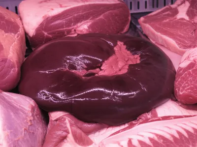 Illustration milt - Image 1