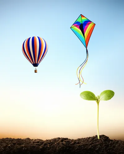 Illustration mounts - Image 2