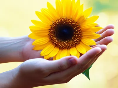 Illustration delight - Image 1