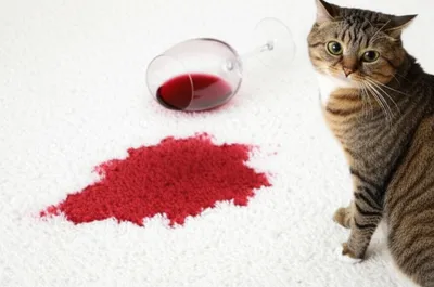 Illustration telltale - Image 1