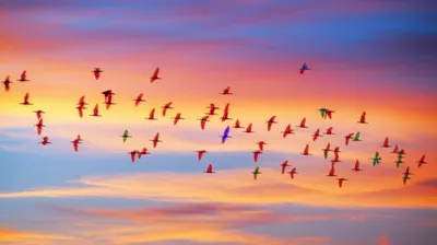 Illustration fleets - Image 1