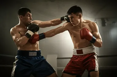 Illustration bouts - Image 1