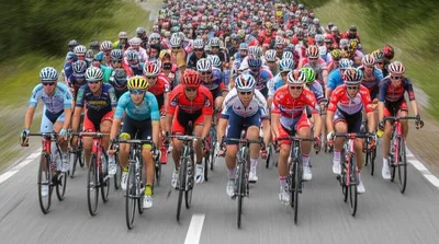 Illustration bunches - Image 1