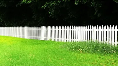 Illustration bourne - Image 1