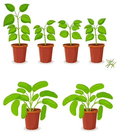 Illustration thin - Image 1