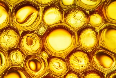 Illustration fats - Image 1