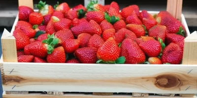 Illustration flat - Image 1