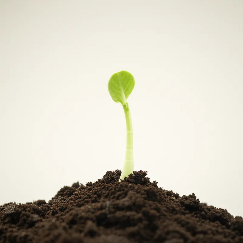 Illustration visuelle du mot « create » - Créer, produire