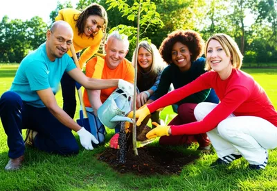 Illustration partakes