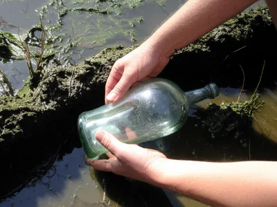 Illustration retrieves - Image 1