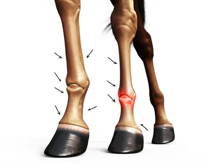 Illustration founder - Image 1