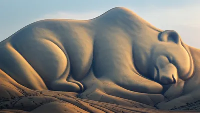 Illustration back - Image 1