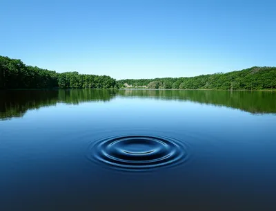 Illustration disturbances - Image 1