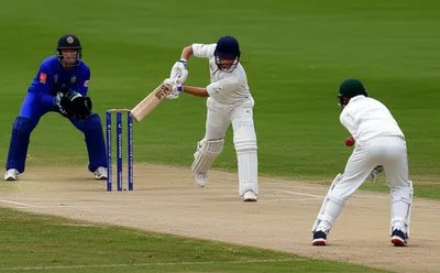 Illustration cricket - Image 1