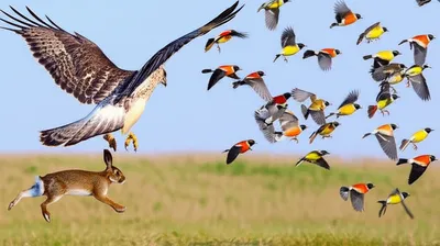 Illustration checked - Image 1