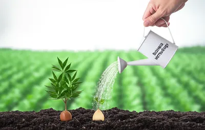 Illustration commercializing