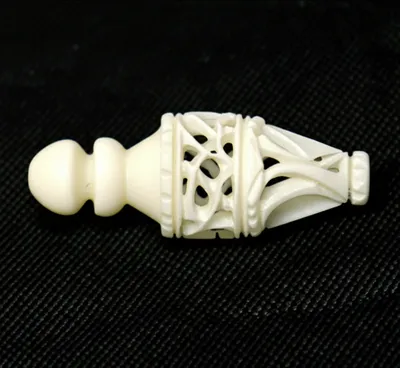 Illustration bone - Image 1