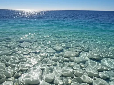 Illustration clearest - Image 1