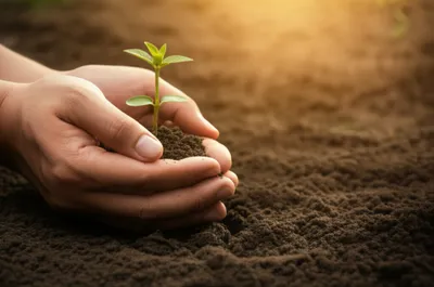 Illustration giving - Image 1