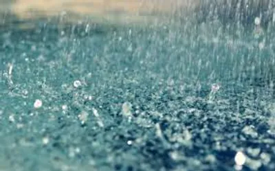 Illustration sheet - Image 3