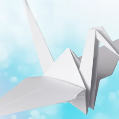 Illustration plication - Image 1